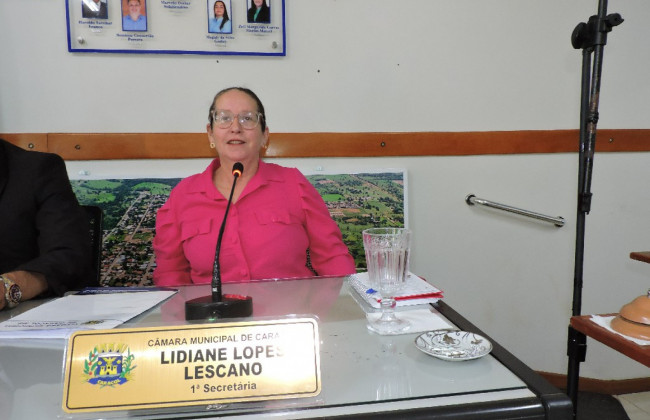 Vereadora Lidiane solicita manutenção de luminárias na Rua Maurílio Godoy